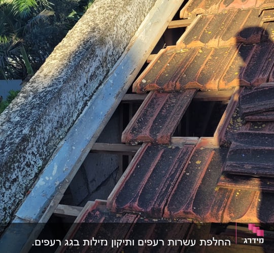 רעפים אדומים על גג עם קורות עץ חשופות